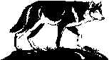 Wolf1.wmf (14156 bytes)